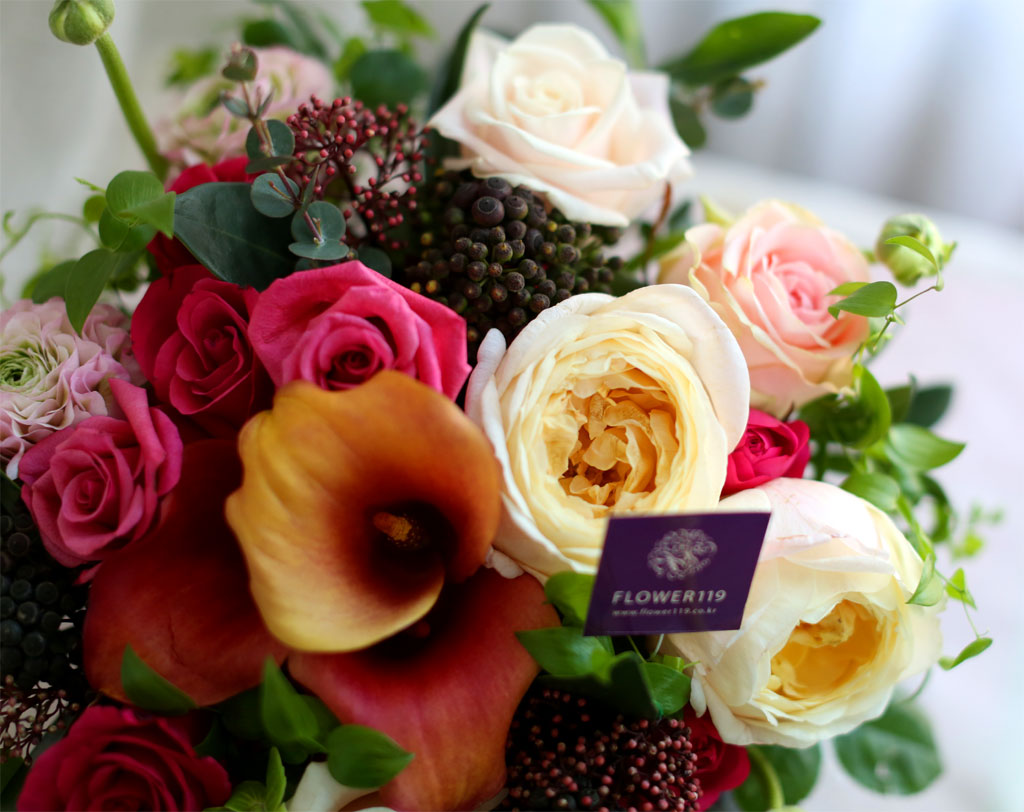 {¼¿ï,¼öµµ±Ç}Yes it is - Cuz I love you