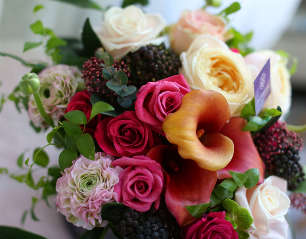 {¼¿ï,¼öµµ±Ç}Yes it is - Cuz I love you