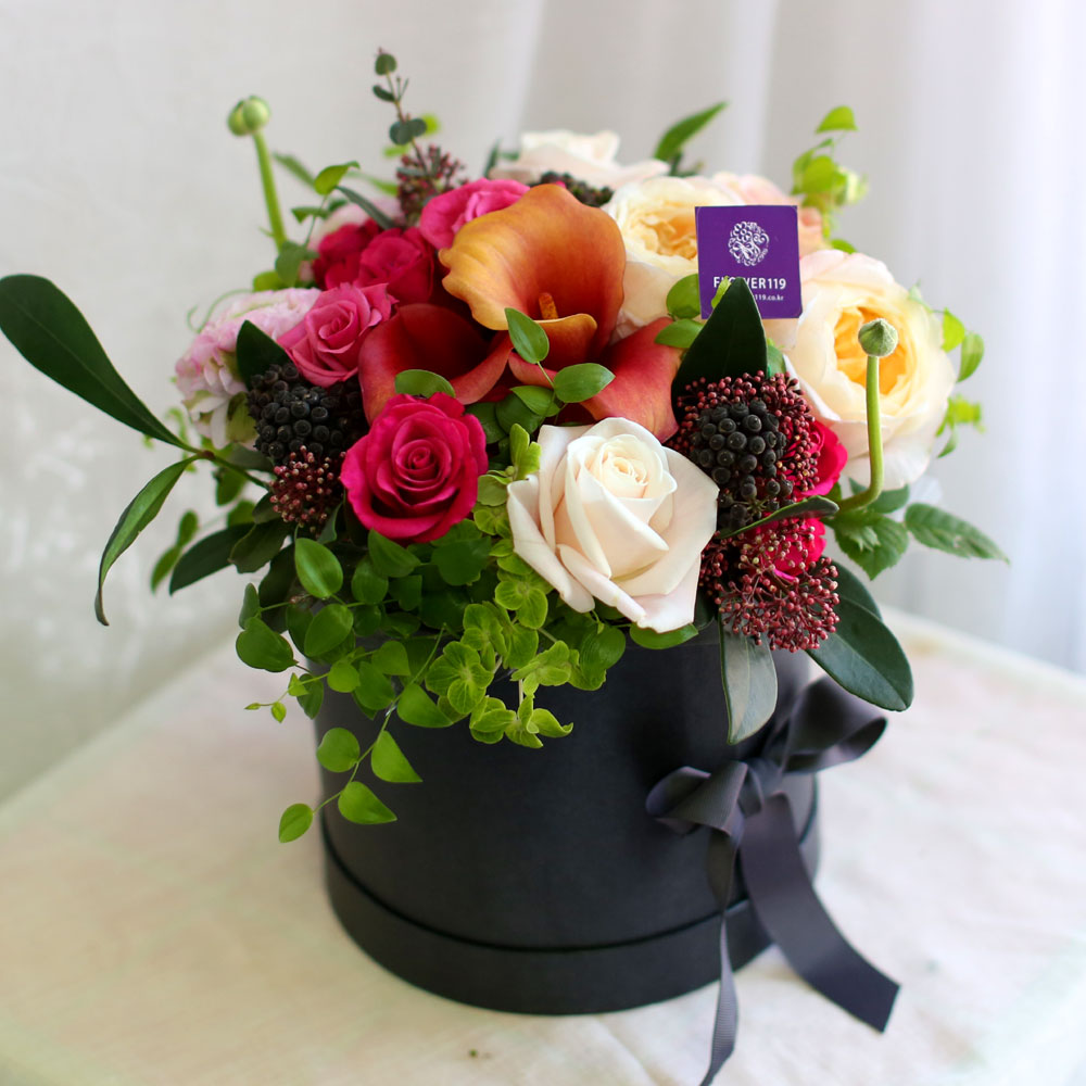 {¼¿ï,¼öµµ±Ç}Yes it is - Cuz I love you