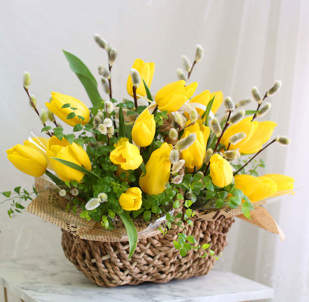 [ ǹ]Spring & sweet Tulips  ɹ