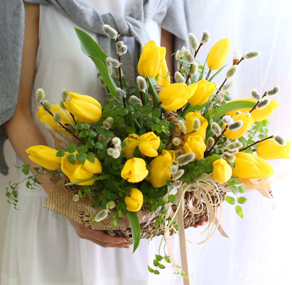 [ ǹ]Spring & sweet Tulips  ɹ