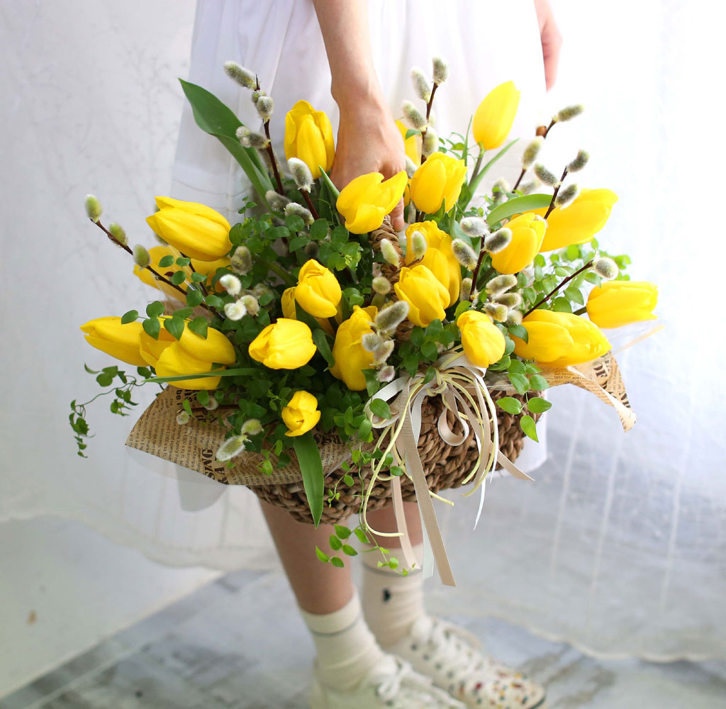 [ ǹ]Spring & sweet Tulips  ɹ