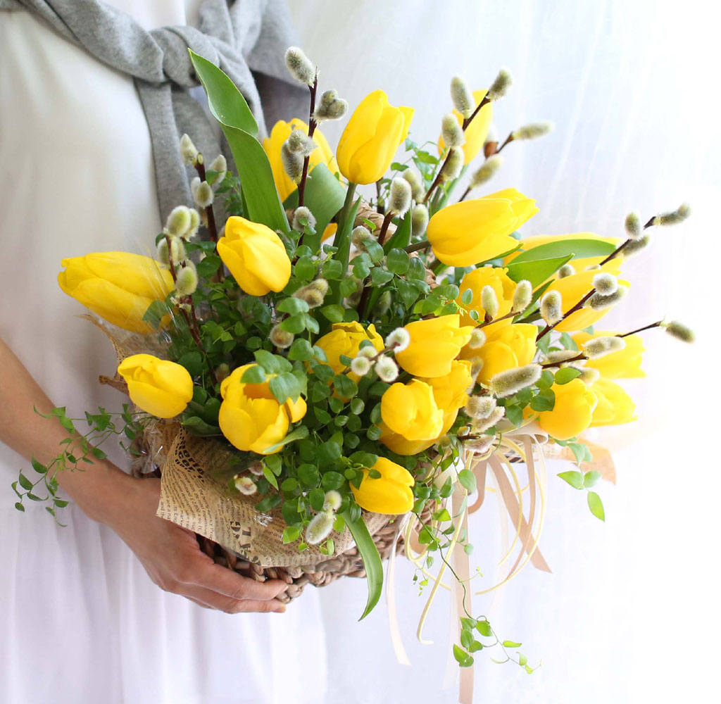 [ ǹ]Spring & sweet Tulips  ɹ