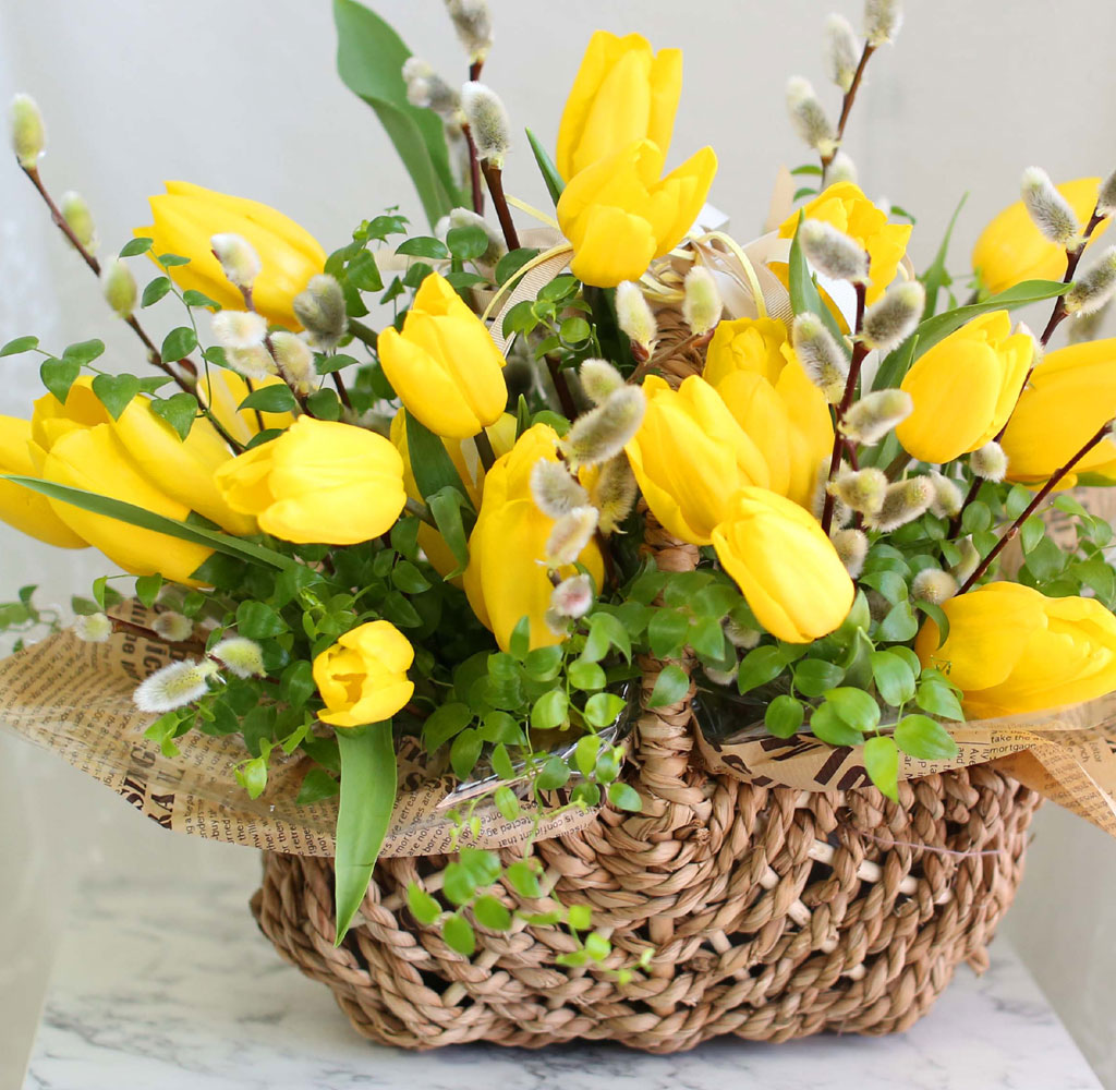 [ ǹ]Spring & sweet Tulips  ɹ