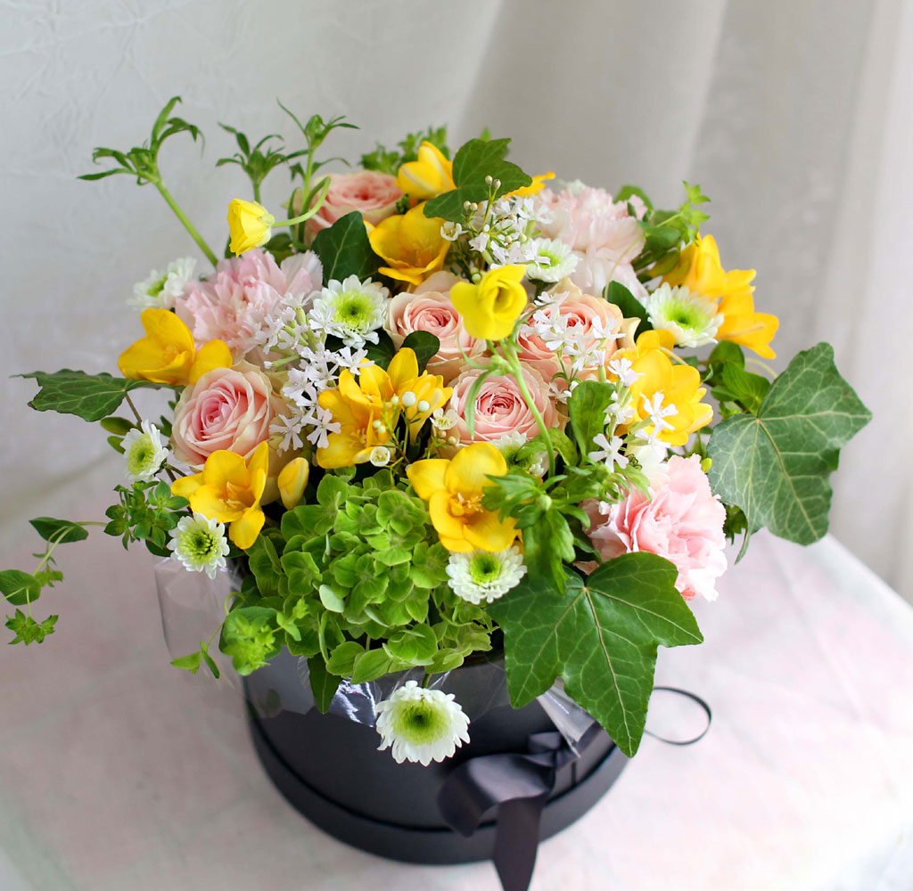 [ ǹ]Spring & sweet ɾӿ