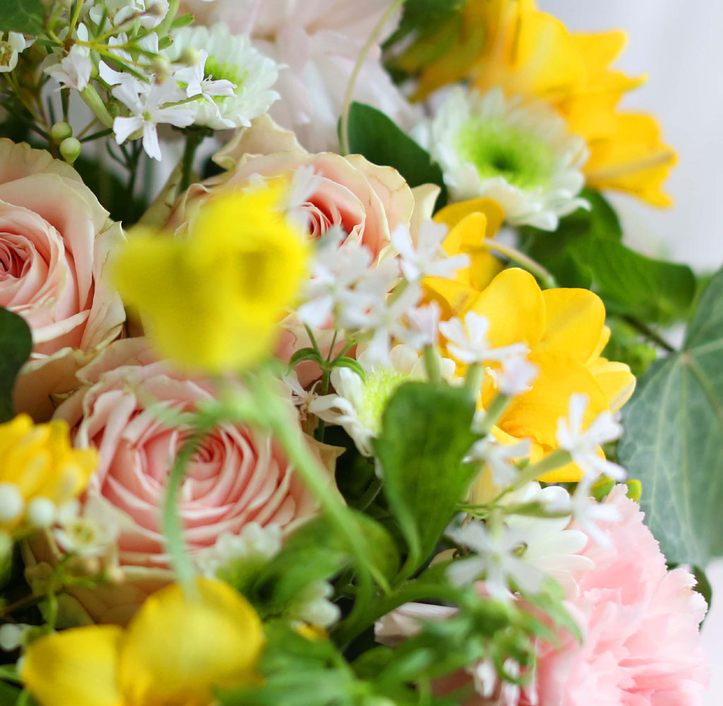 [ ǹ]Spring & sweet ɾӿ