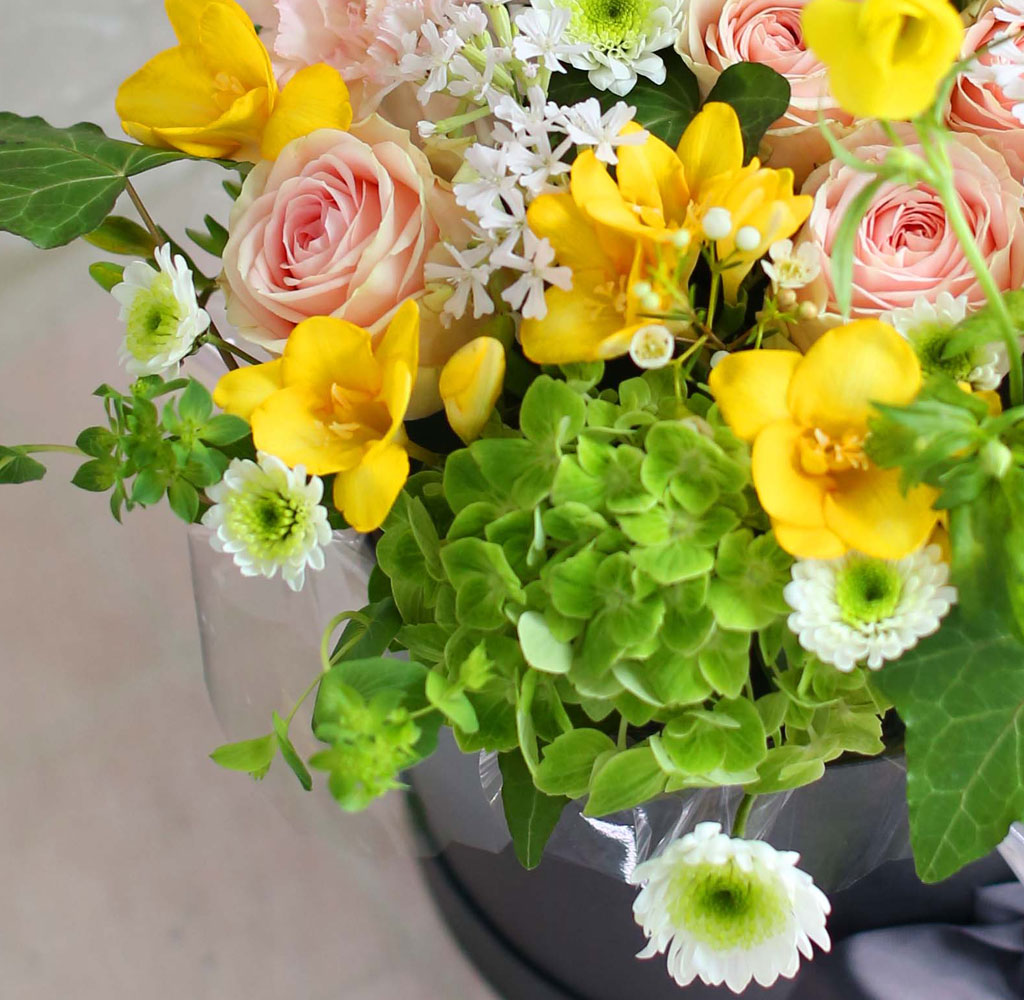 [ ǹ]Spring & sweet ɾӿ