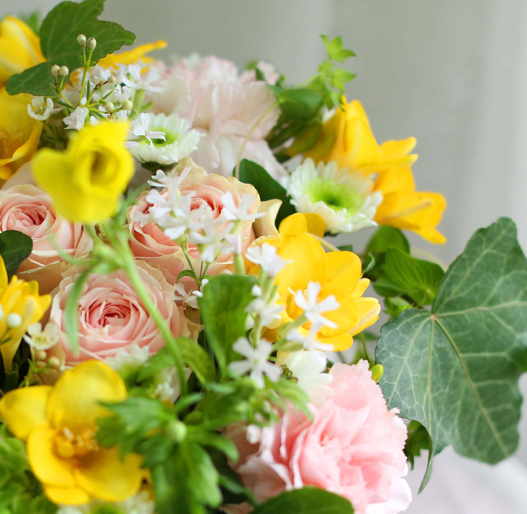 [ ǹ]Spring & sweet ɾӿ