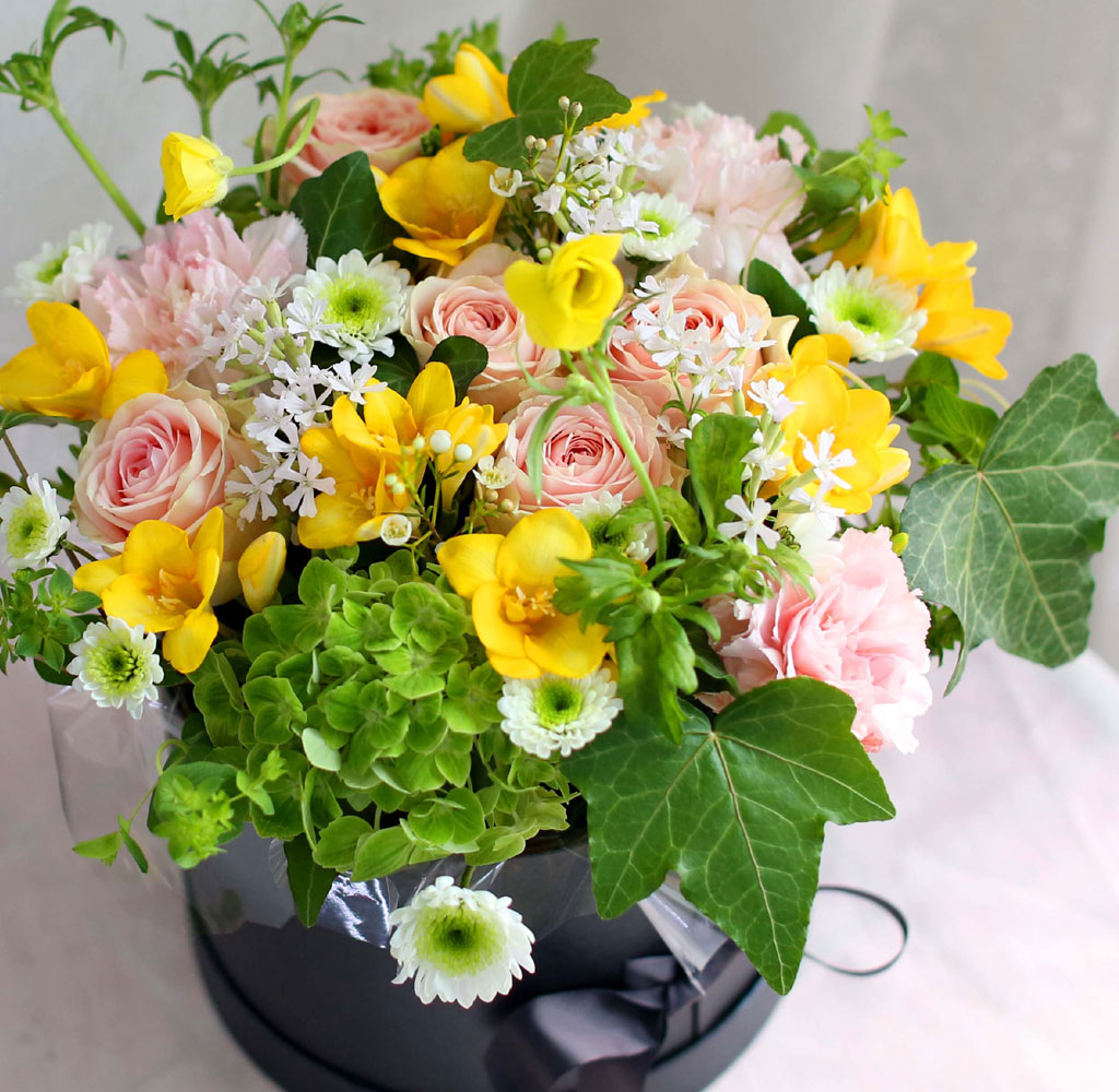 [ ǹ]Spring & sweet ɾӿ