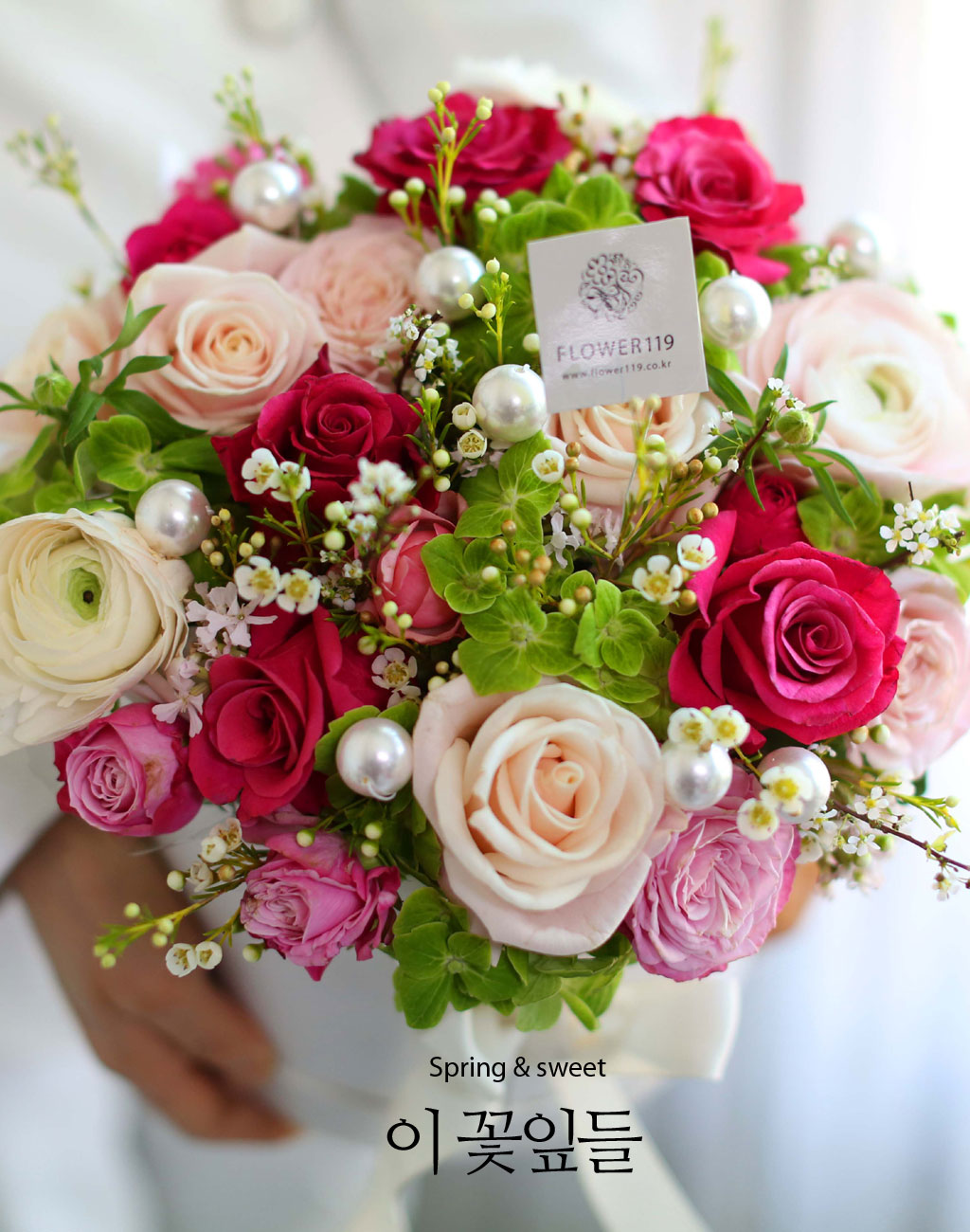 [ ǹ]Spring & sweet ̲ٵ  ɹ