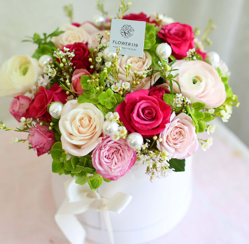 [ ǹ]Spring & sweet ̲ٵ  ɹ