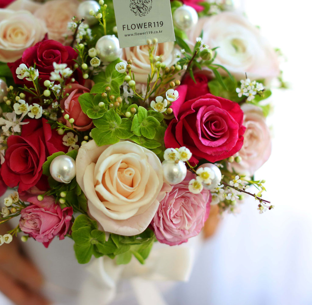 [ ǹ]Spring & sweet ̲ٵ  ɹ