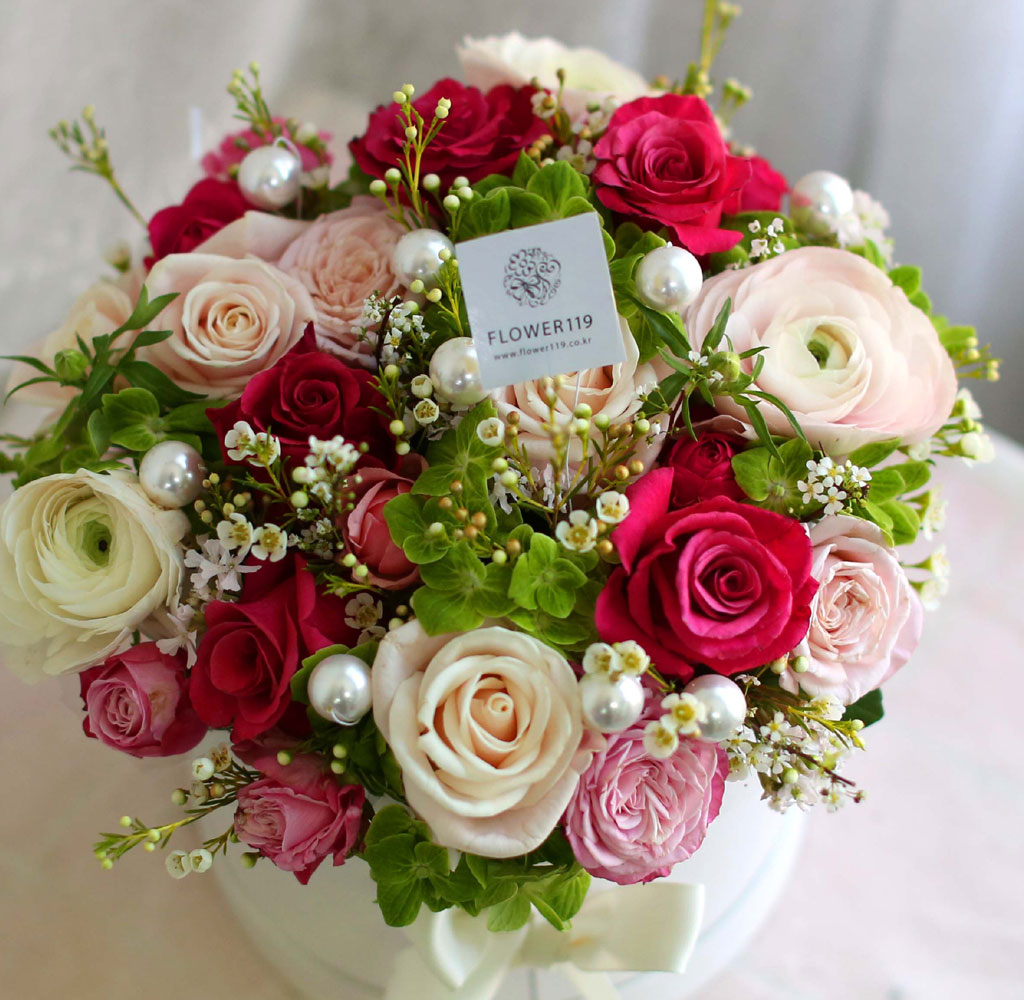 [ ǹ]Spring & sweet ̲ٵ  ɹ