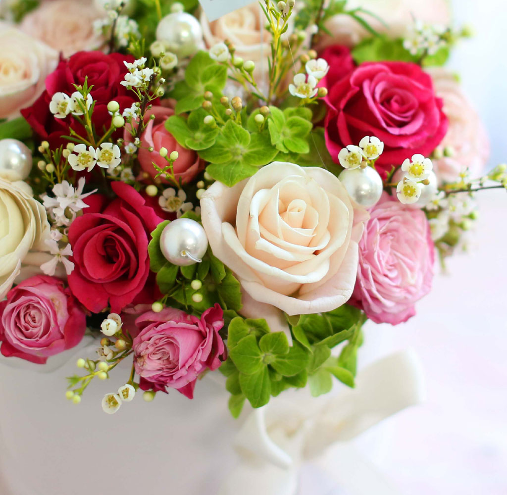 [ ǹ]Spring & sweet ̲ٵ  ɹ