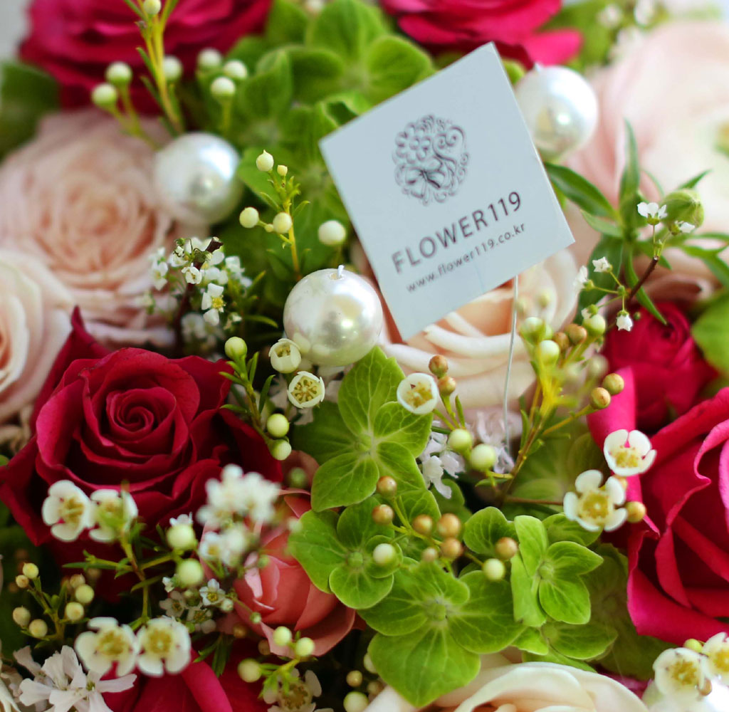 [ ǹ]Spring & sweet ̲ٵ  ɹ