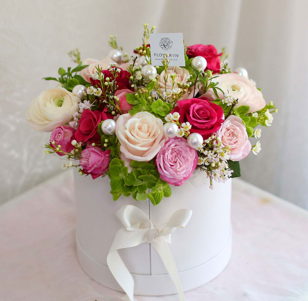 [ ǹ]Spring & sweet ̲ٵ  ɹ