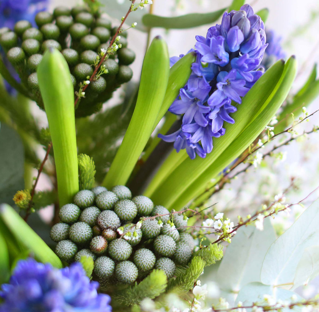 [���� �����ǹ��]Spring & sweet �ɳ����� ����