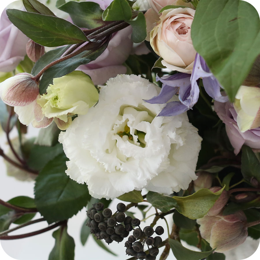 [, ]Yes it is ״ â Ƹٿ ⸦