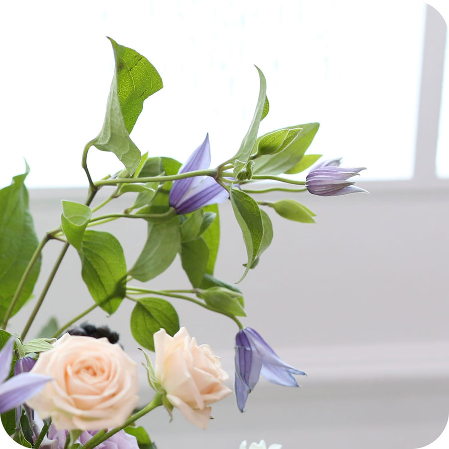 [, ]Yes it is ״ â Ƹٿ ⸦