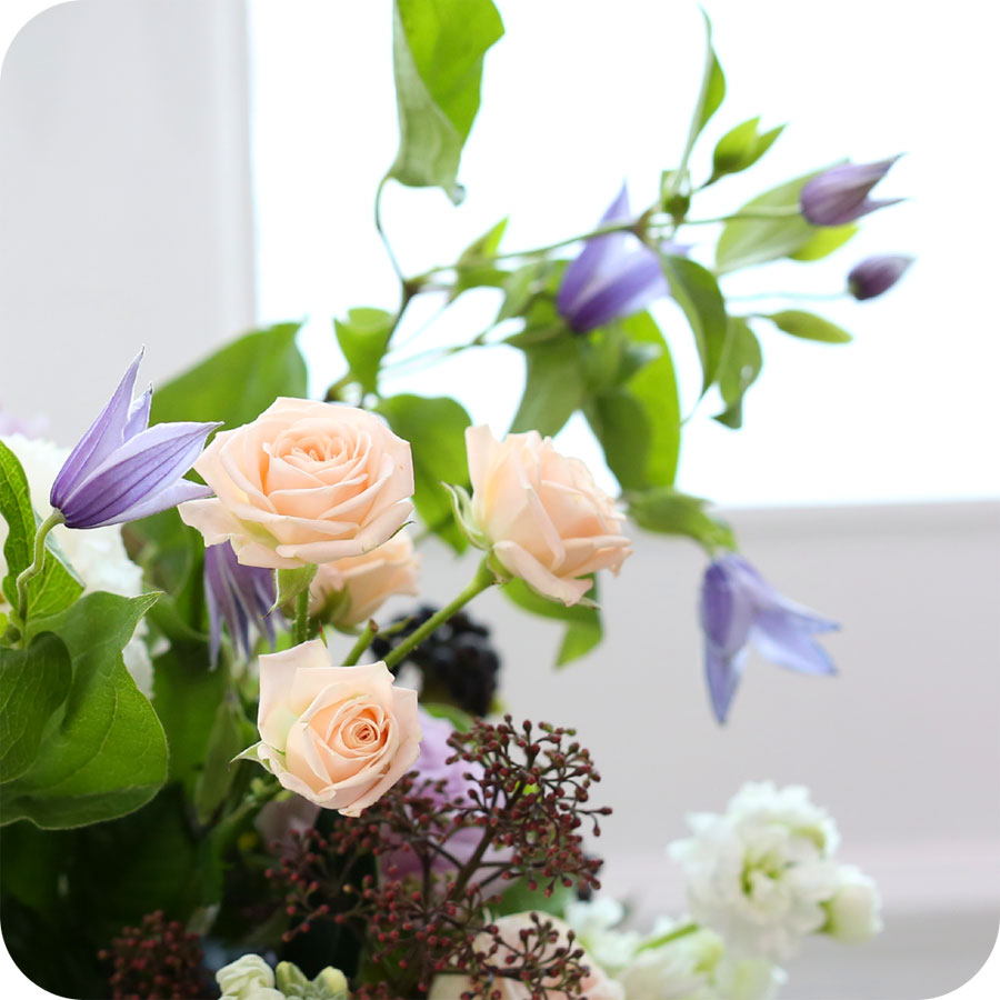 [, ]Yes it is ״ â Ƹٿ ⸦