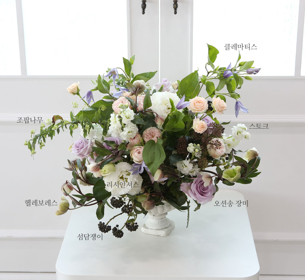 [, ]Yes it is ״ â Ƹٿ ⸦