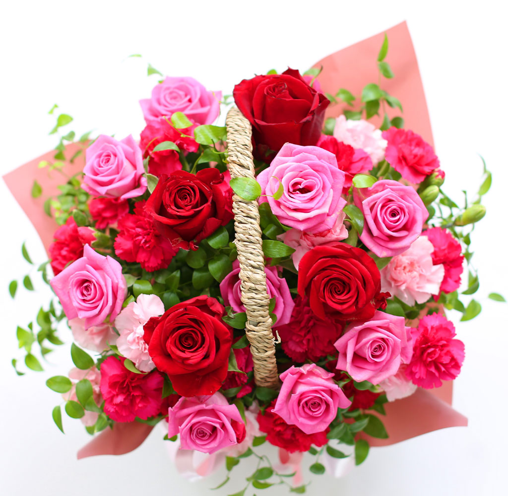 {Àü±¹¹è¼Û}Yes it is ¾Æ³»´Â Àå¹Ìü£´Ù ²ÉÁý ²É¹è´Þ