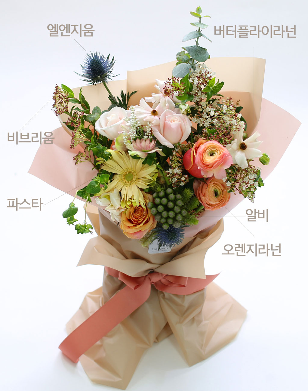 [ ǹ]Spring & sweet  M-a-r-c-h  ɹ