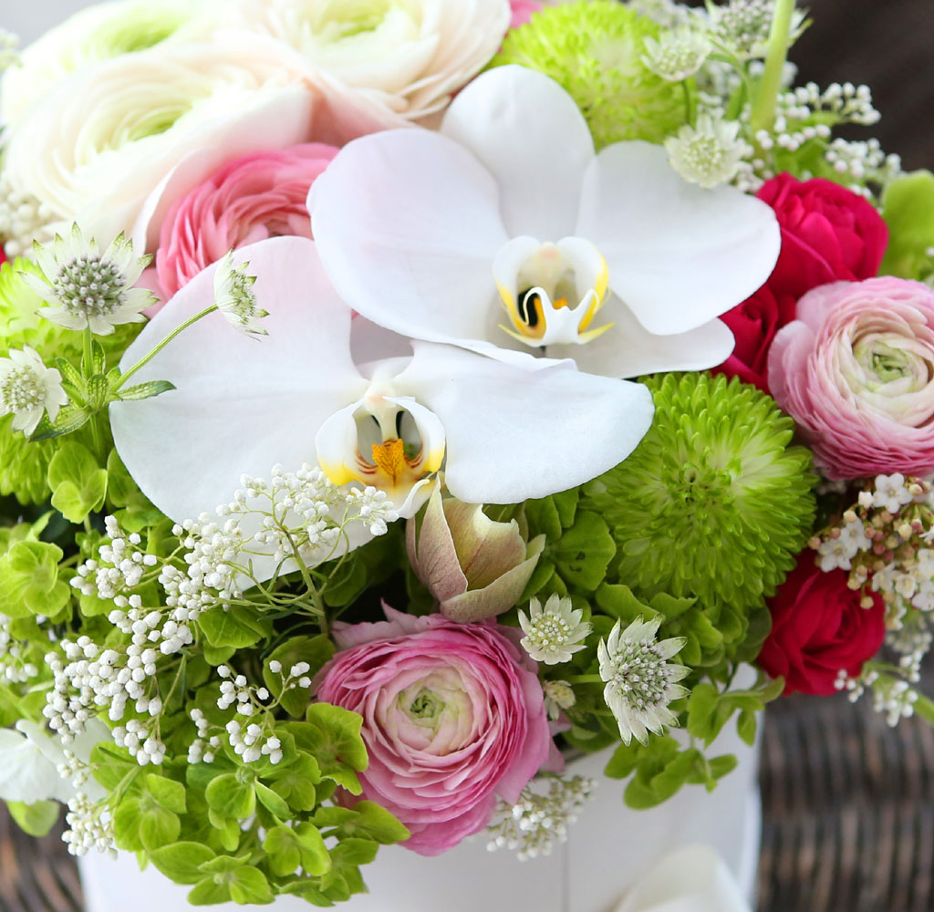 [ ǹ]Spring & sweet  ɸ Ǭ  ɹ