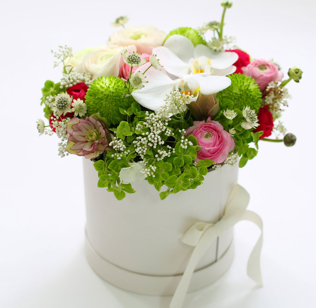 [ ǹ]Spring & sweet  ɸ Ǭ  ɹ