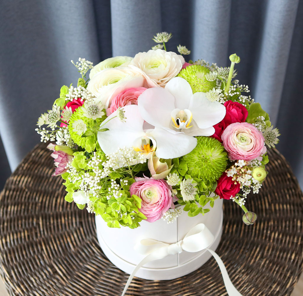 [ ǹ]Spring & sweet  ɸ Ǭ  ɹ