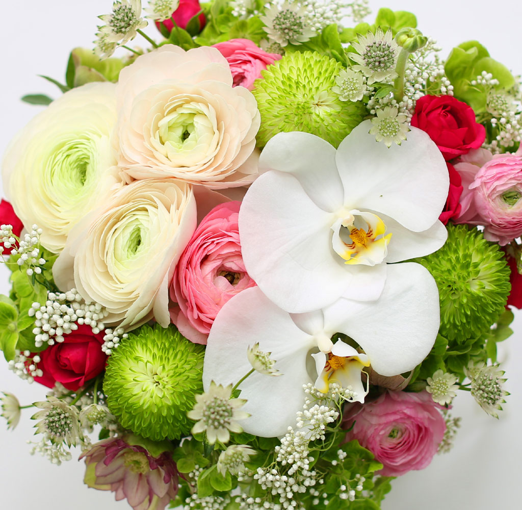 [ ǹ]Spring & sweet  ɸ Ǭ  ɹ