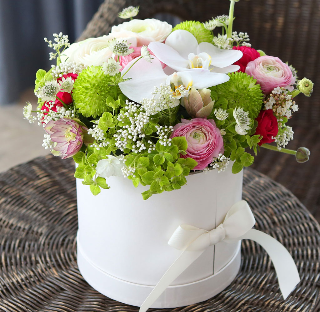 [ ǹ]Spring & sweet  ɸ Ǭ  ɹ