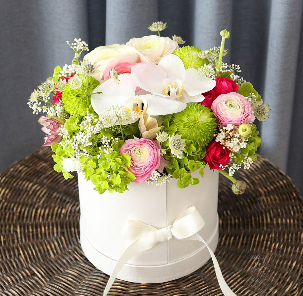 [ ǹ]Spring & sweet  ɸ Ǭ  ɹ