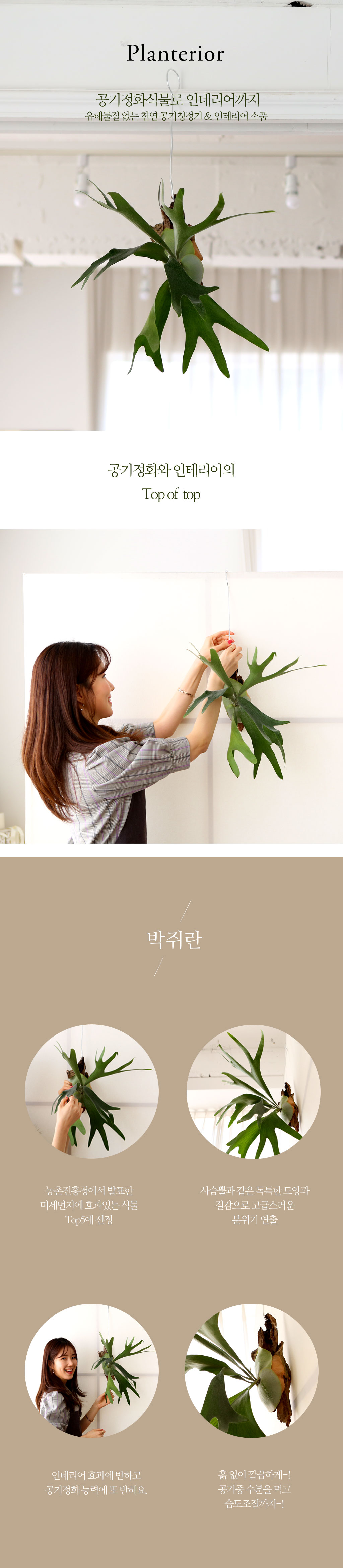 #�÷��׸��� #������ȭ #Ȩ���׸��� - ����� ���� �ɹ��