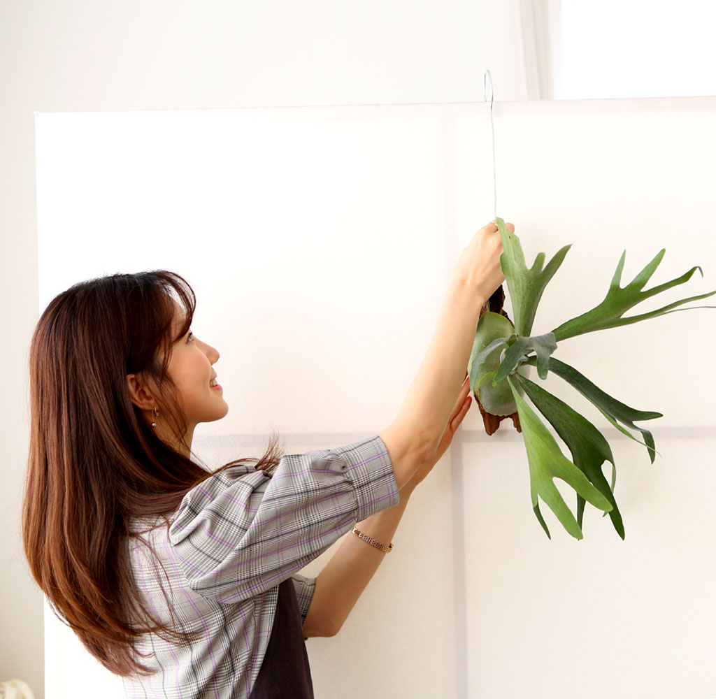 #�÷��׸��� #������ȭ #Ȩ���׸��� - ����� ���� �ɹ��