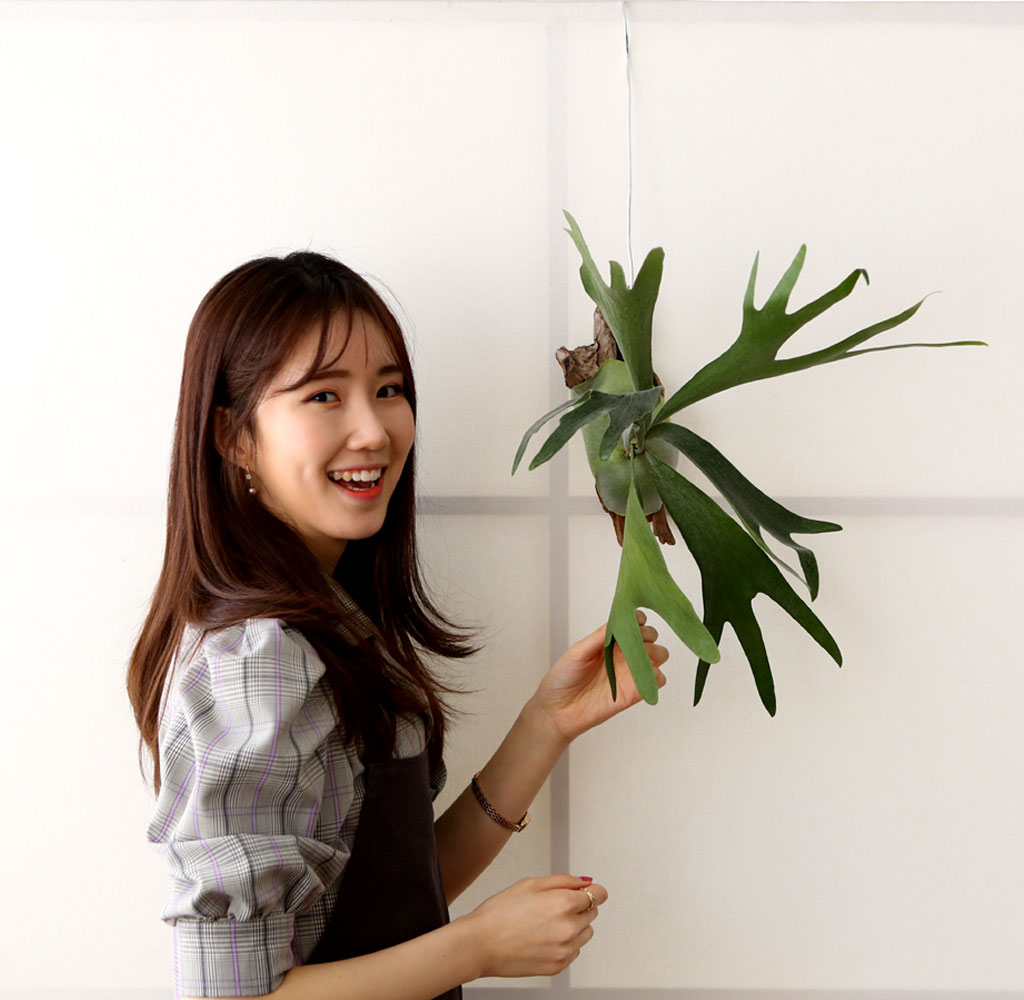 #�÷��׸��� #������ȭ #Ȩ���׸��� - ����� ���� �ɹ��