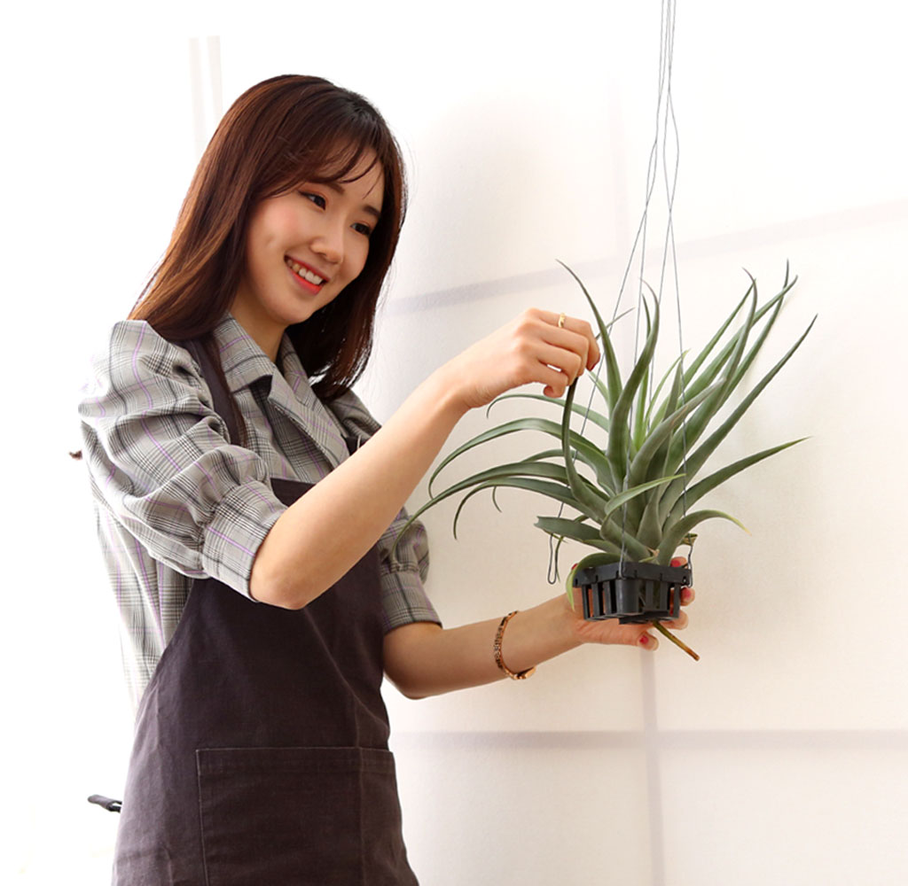 #÷׸ #ȭ #Ȩ׸ - ƿþ  ɹ