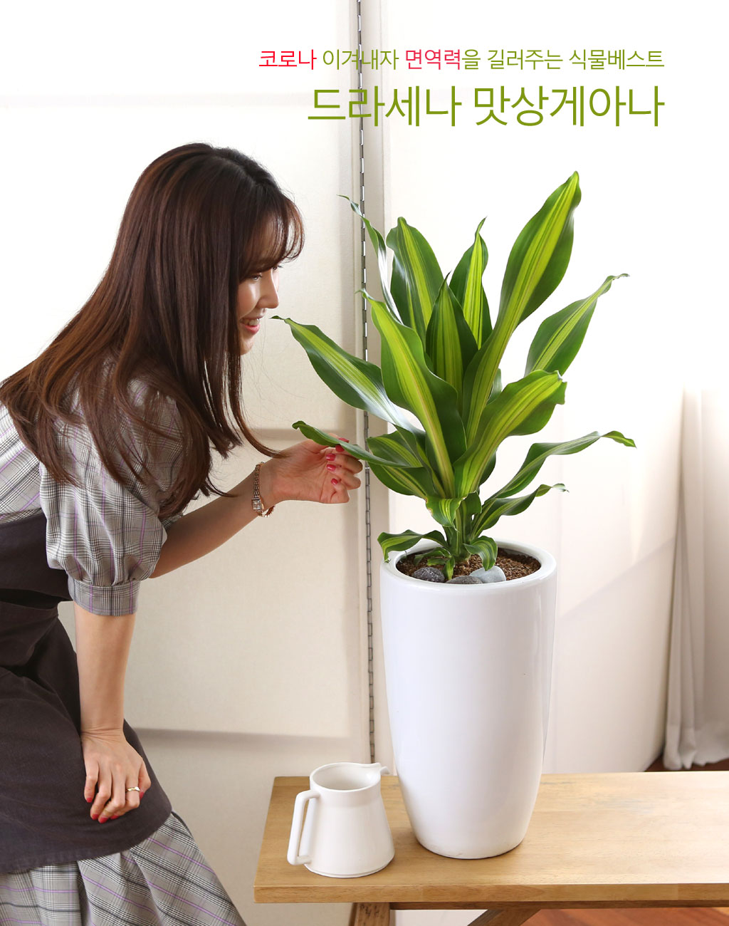 ÄڷγªÀ̰ܳ»ÀÚ ¸é¿ª·ÂÀ» ±æ·¯ÁÖ´Â ½Ä¹°º£½ºÆ® -µå¶ó¼¼³ª ¸À»ó°Ô¾Æ³ª ²ÉÁý ²É¹è´Þ