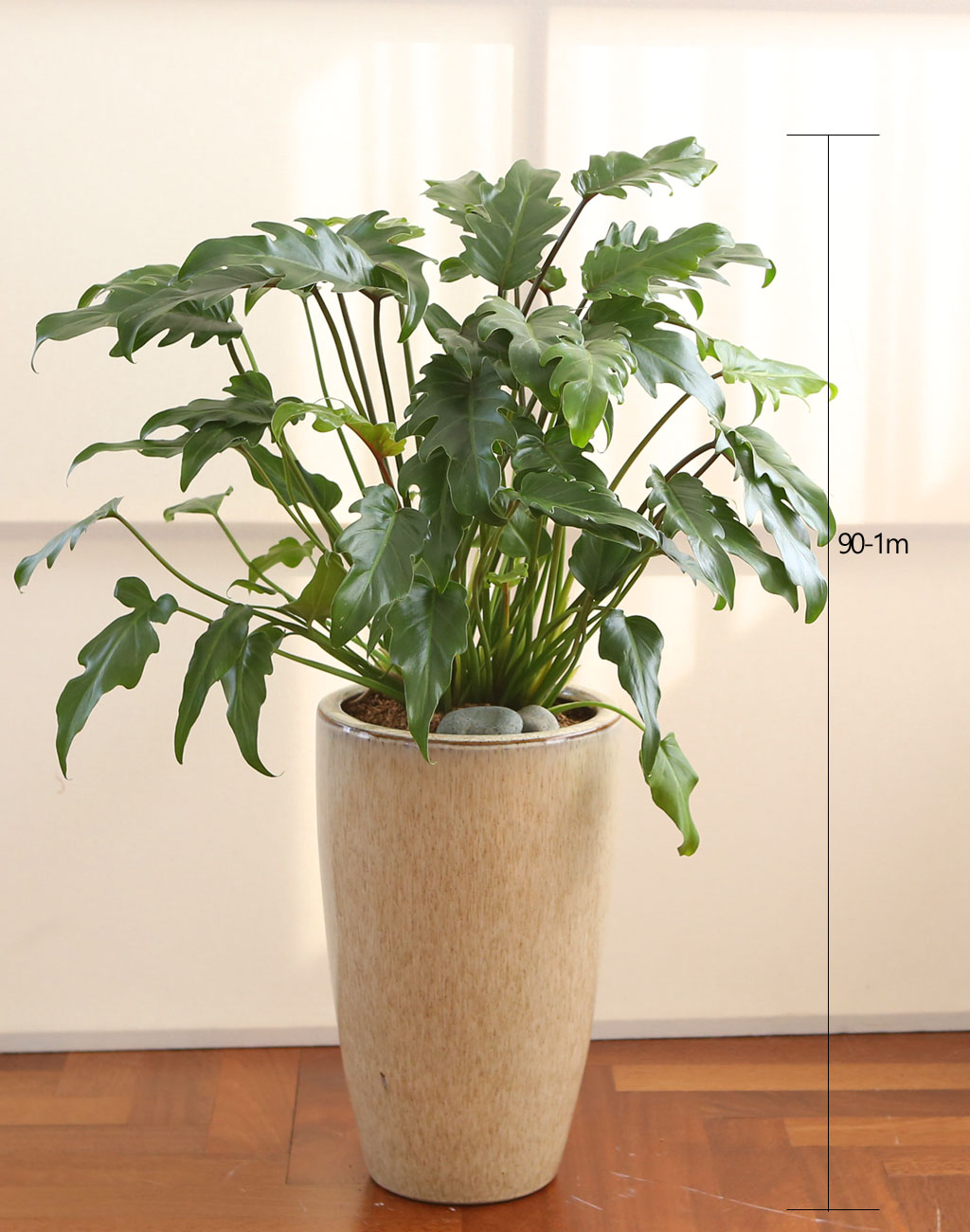 ڷγ̰ܳ 鿪 淯ִ ĹƮ -  ɹ