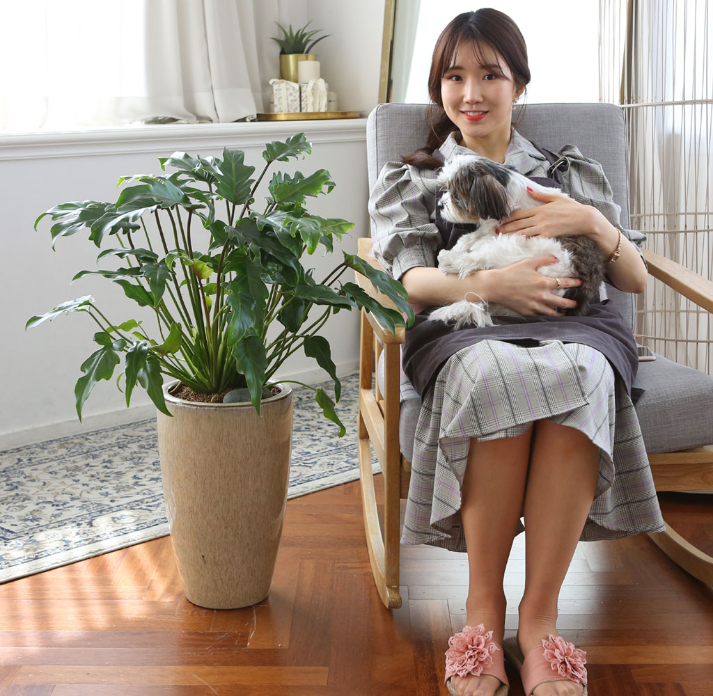 ڷγ̰ܳ 鿪 淯ִ ĹƮ -  ɹ