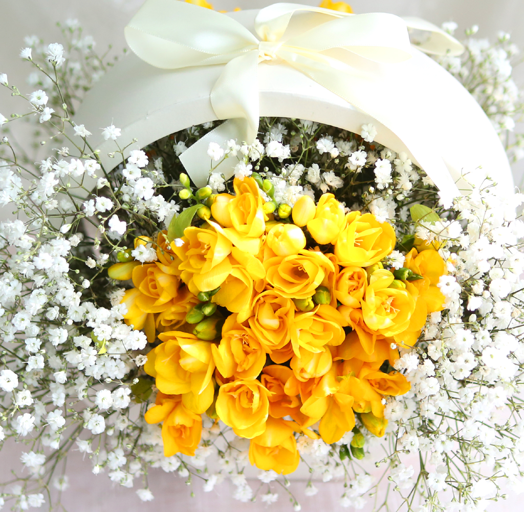 [���� �����ǹ��]Spring & sweet ���� �ĸ��������� �Բ� �´� ���� �ɹ��