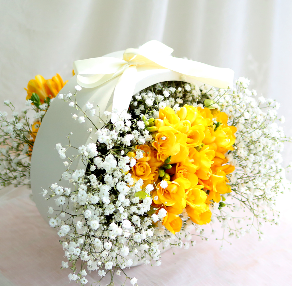 [���� �����ǹ��]Spring & sweet ���� �ĸ��������� �Բ� �´� ���� �ɹ��