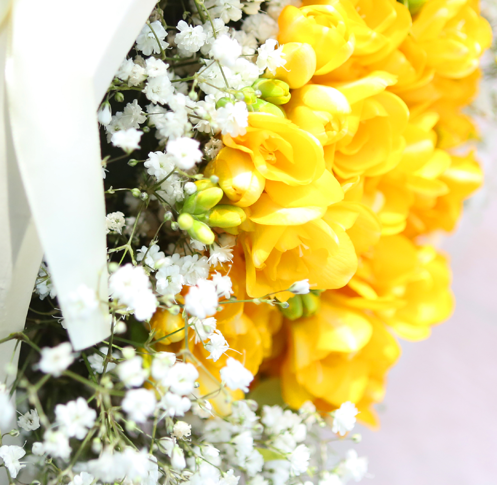 [���� �����ǹ��]Spring & sweet ���� �ĸ��������� �Բ� �´� ���� �ɹ��