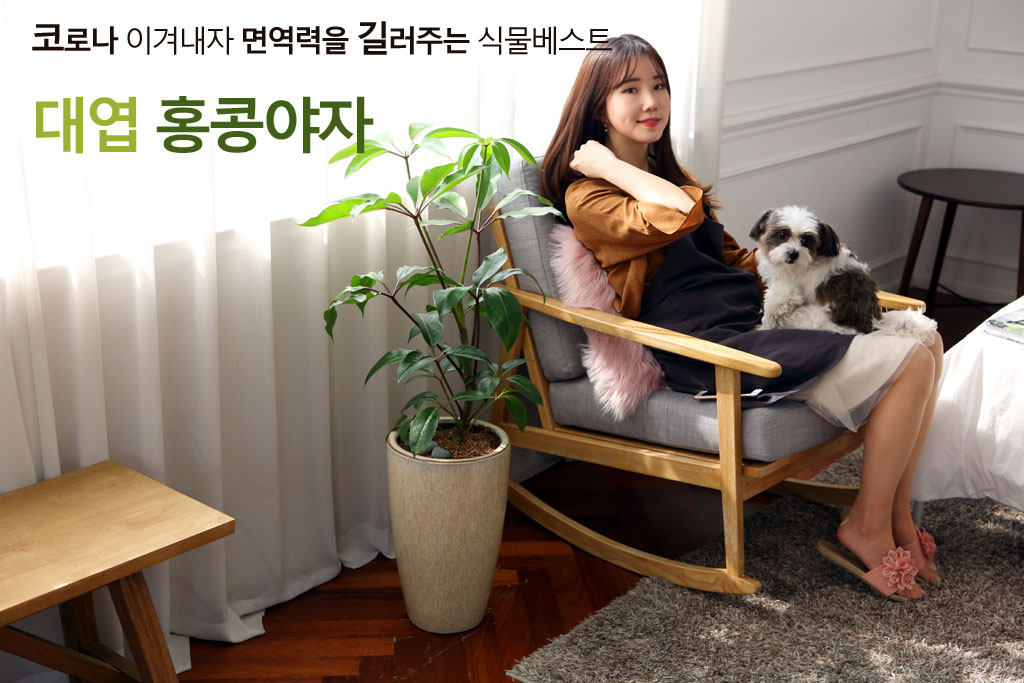 ÄڷγªÀ̰ܳ»ÀÚ ¸é¿ª·ÂÀ» ±æ·¯ÁÖ´Â ½Ä¹°º£½ºÆ® -´ë¿±È«Äá ²ÉÁý ²É¹è´Þ