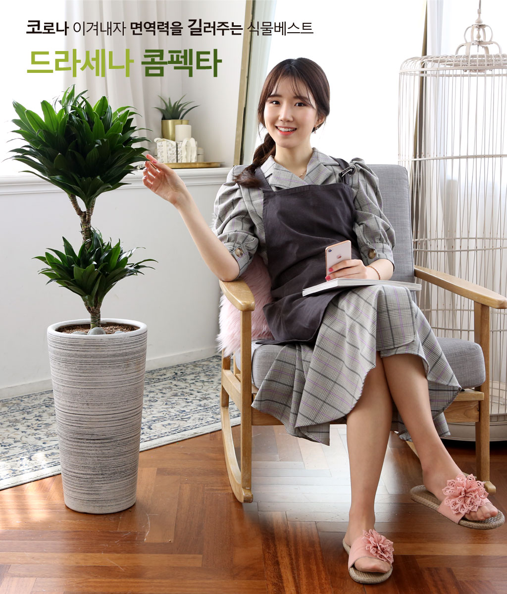 鿪 淯ִ Ĺ - Ÿ  ɹ