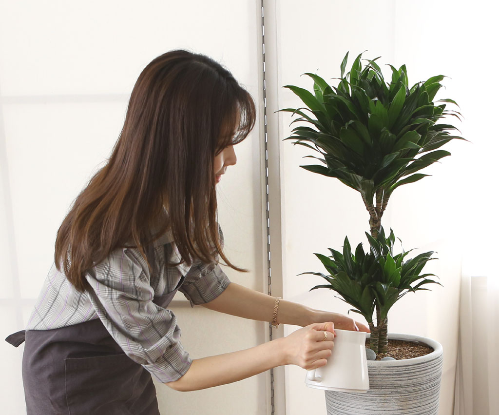 鿪 淯ִ Ĺ - Ÿ  ɹ