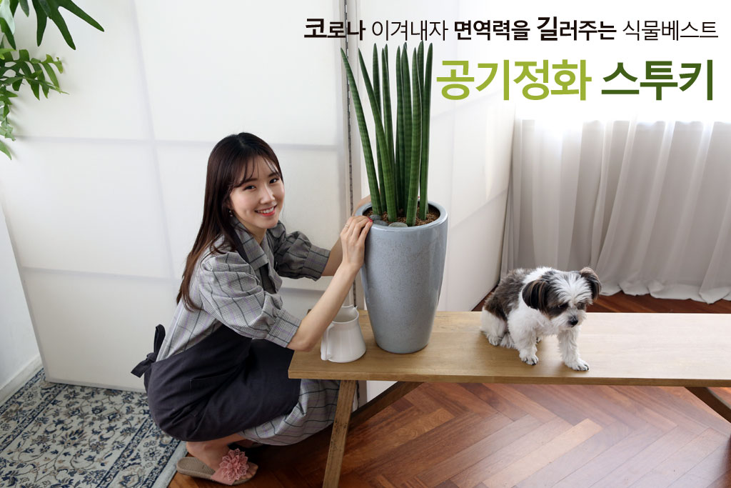 ¸é¿ª·ÂÀ» ±æ·¯ÁÖ´Â ½Ä¹° - ½ºÅõŰ ²ÉÁý ²É¹è´Þ