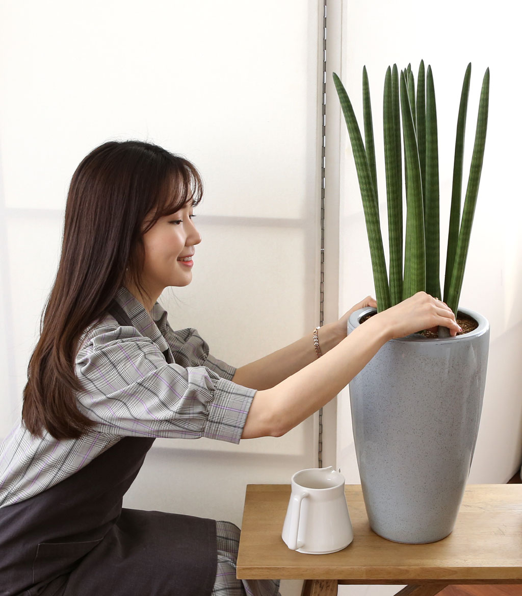 ¸é¿ª·ÂÀ» ±æ·¯ÁÖ´Â ½Ä¹° - ½ºÅõŰ ²ÉÁý ²É¹è´Þ