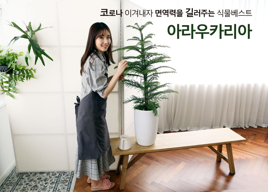 ÄڷγªÀ̰ܳ»ÀÚ ¸é¿ª·ÂÀ» ±æ·¯ÁÖ´Â ½Ä¹°º£½ºÆ® - ¾Æ¶ó¿ìÄ«¸®¾Æ ²ÉÁý ²É¹è´Þ