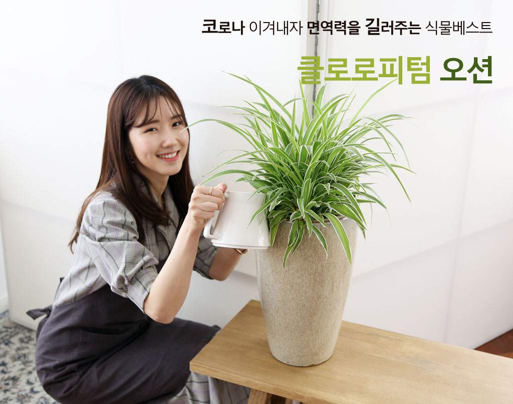 ÄڷγªÀ̰ܳ»ÀÚ ¸é¿ª·ÂÀ» ±æ·¯ÁÖ´Â ½Ä¹°º£½ºÆ® - Ŭ·Î·ÎÇÇÅÒ ¿À¼Ç ²ÉÁý ²É¹è´Þ